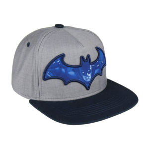 Gorra Visera Plana Warner Batman