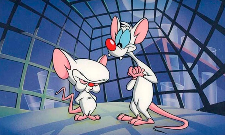 Pinky y Cerebro