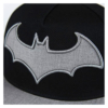 Gorra Visera Plana Warner Dc Batman