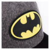 Gorra Visera Curva Warner DC Batman Logo Goma