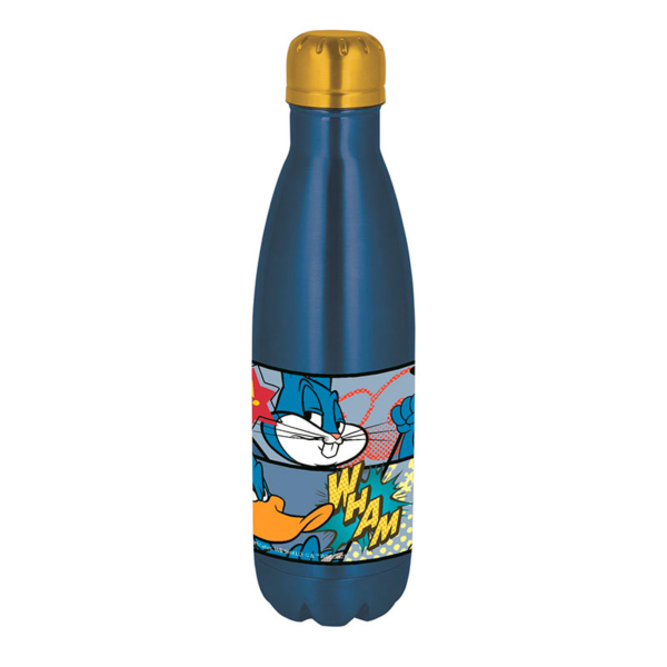 Botella Acero Inoxidable Looney Tunes Warner 100 Aniversario Súper Heroes