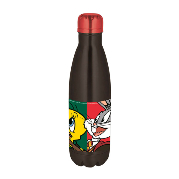 Botella Acero Inoxidable Looney Tunes Warner 100 Aniversario Harry Potter